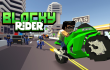 Blocky Rider img