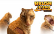 Brush Jjaemu img