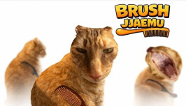 Brush Jjaemu img