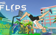 Mr Flip img