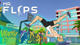 Mr Flip img