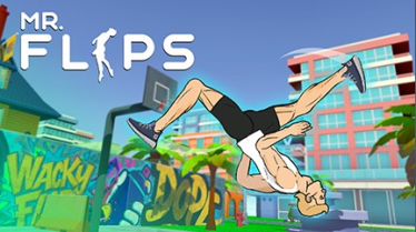 Mr Flip Mr Flip img